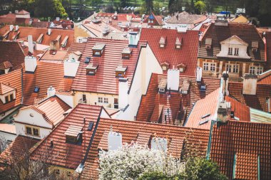 Prag 'daki kırmızı çatılar