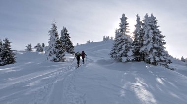                                Kış harika bir zamandır.