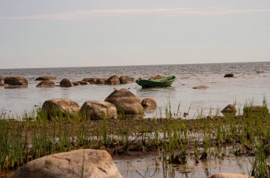 Seafront with seaweed and tethered boat