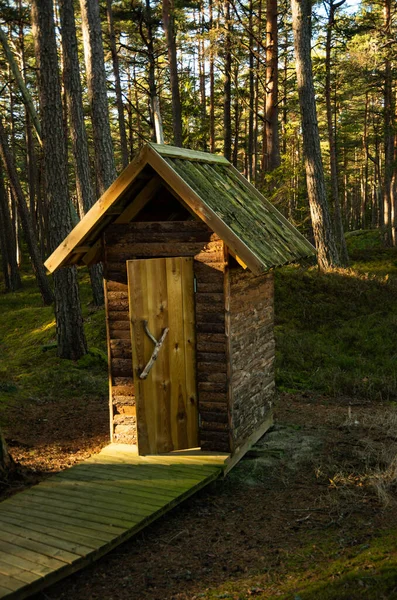 Beautiful outdoor toilet in the forest on a sunny day