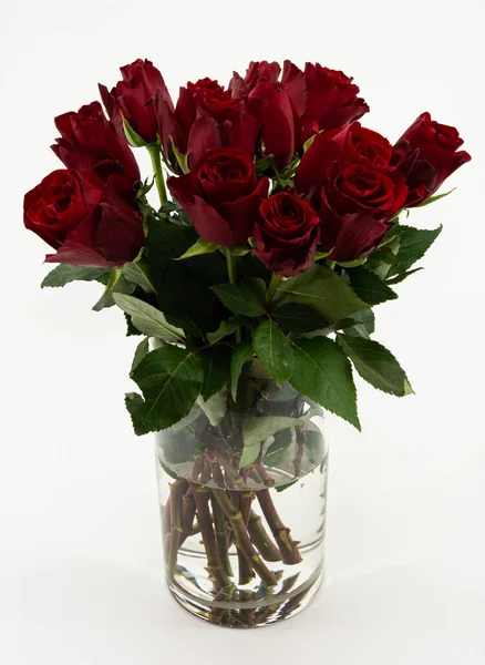 Red roses in a glass container with water Stock Photo