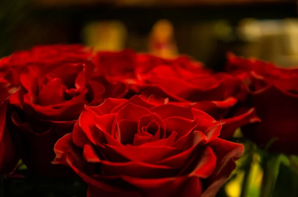 Roses Rouges Beau Cadeau Pour Une Femme Surprise — Photo