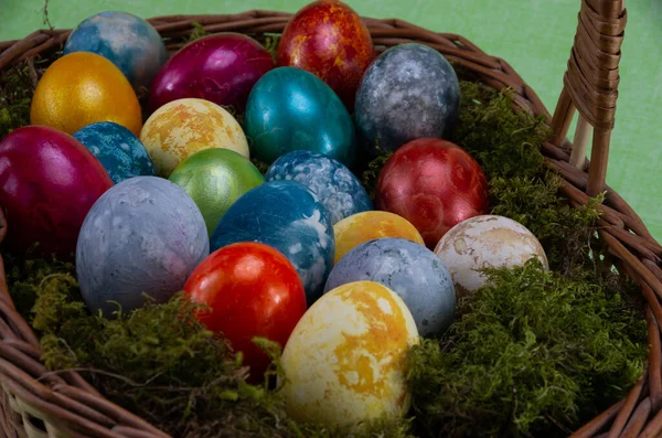 Easter, colored painted eggs in a wicker basket with moss on green background