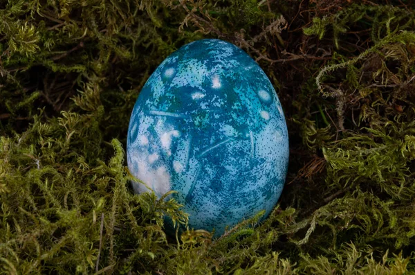 Huevo Color Pascua Sobre Musgo Verde Color Azul —  Fotos de Stock