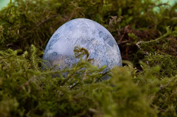 Œuf Pâques Sur Mousse Verte Couleur Bleue Objet — Photo