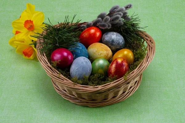 Pascua Huevos Pintados Colores Una Canasta Mimbre Con Musgo Narciso —  Fotos de Stock