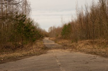 Asfalt ve enkaz dolu orman yolu, ilkbaharda terk edilmiş yol.
