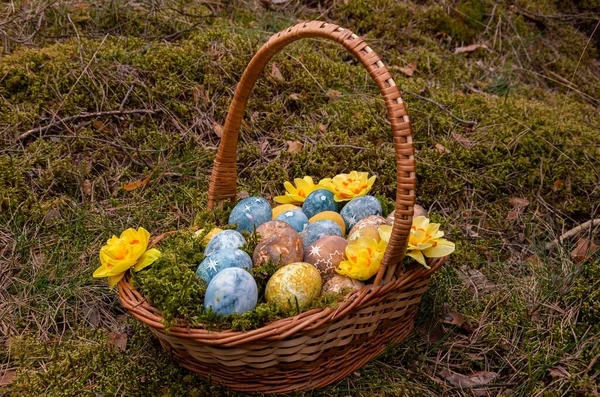 Huevos Pintados Pascua Con Estrellas Narcisos Comida —  Fotos de Stock