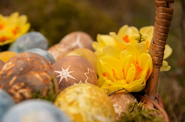 Huevos Pintados Pascua Con Estrellas Narcisos Comida —  Fotos de Stock