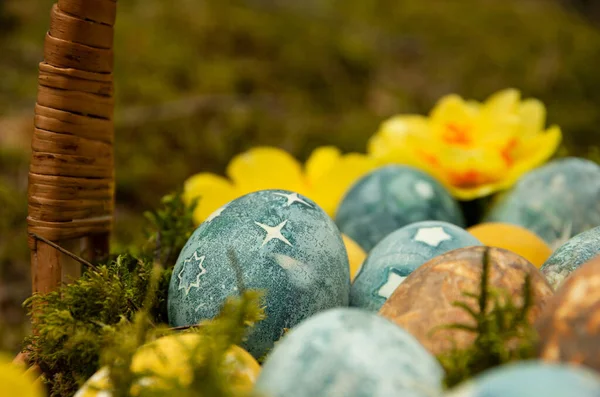 Easter Painted Eggs Stars Daffodils Food — Stock Photo, Image