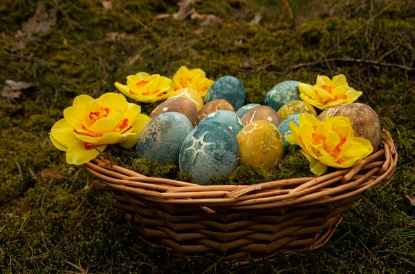 Easter Painted Eggs Stars Daffodils Food — Stock Photo, Image