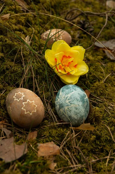 Huevos Pintados Pascua Con Estrellas Narcisos Comida —  Fotos de Stock