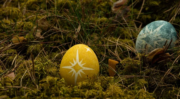 Páscoa Pintado Ovo Azul Com Estrela Musgo Comida — Fotografia de Stock