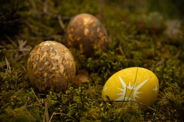 Huevos Marrones Amarillos Pintados Pascua Sobre Musgo Comida —  Fotos de Stock