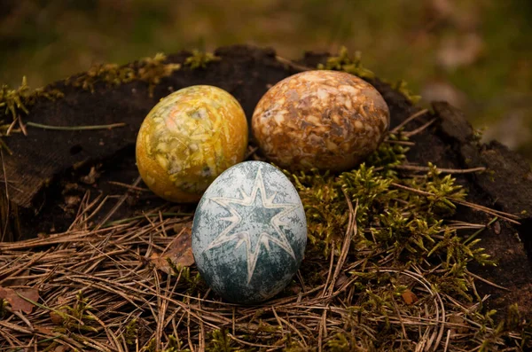 Pascua Pintado Marrón Amarillo Huevos Azules Sobre Musgo —  Fotos de Stock