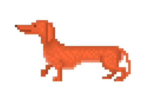 Dachshund liso vermelho, caráter da arte do pixel isolado na parte traseira branca —  Vetores de Stock