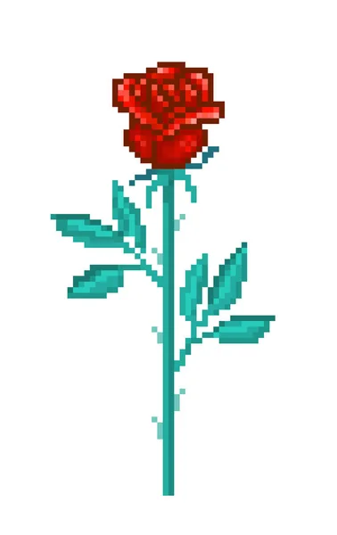 Tek kırmızı gül, beyaz arka plan üzerinde izole piksel sanat çiçek. Stok Illüstrasyon