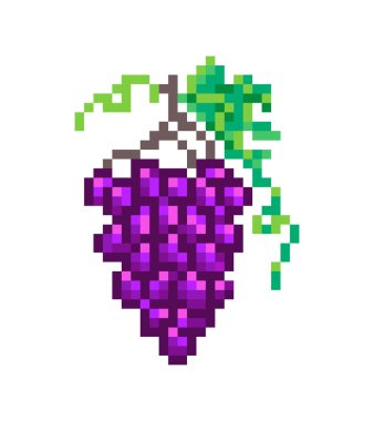 Siyah üzüm yaprakları ve beyaz bac izole asma ile demet