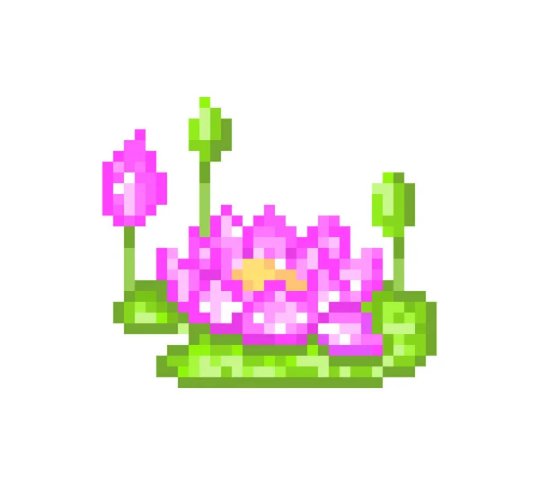 Fleur de lotus rose avec bourgeons, icône pixel art isolée sur ba blanc — Image vectorielle