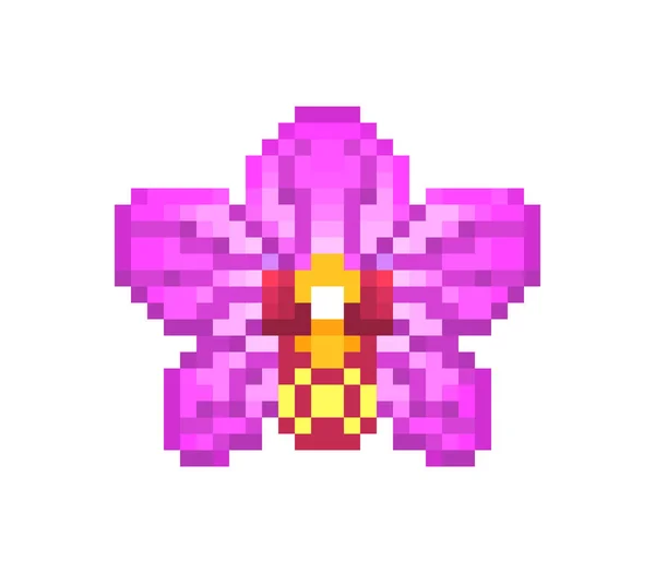 Pink blooming orchid, pixel art icon isolated on white backgroun — Stock Vector