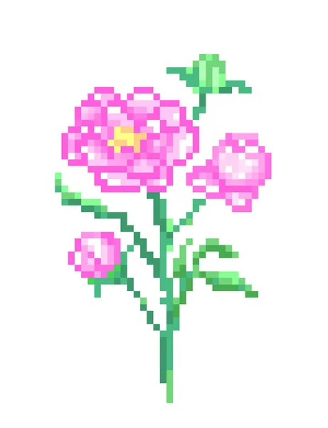 Buquê de peônias rosa com botões e folhas, pixel art illustra —  Vetores de Stock