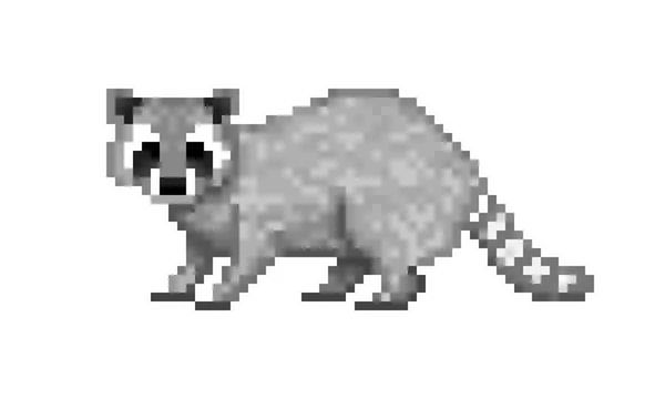 Lindo mapache gris común, pixel arte símbolo aislado en bac blanco — Archivo Imágenes Vectoriales