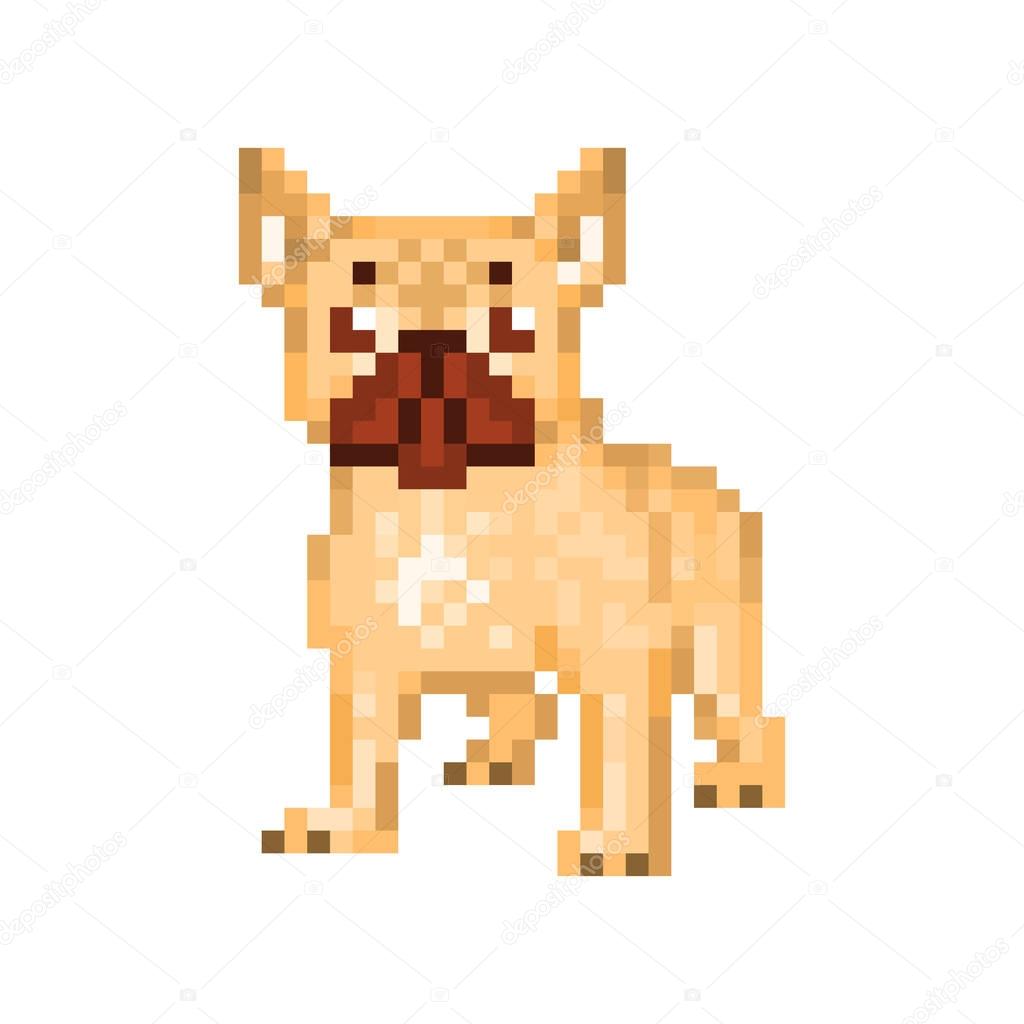 Fawn French bulldog, pixel art character isolated on white background. Domestic animal. Cute pet. Popular small dog breed. Old school 8 bit slot machine pictogram. Retro 80s; 90s video game graphics.