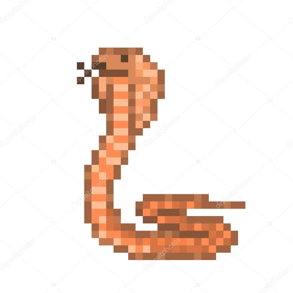 Brown cobra snake on the ground, pixel art character isolated on