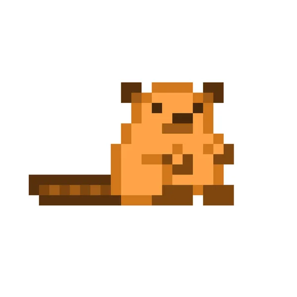 Little beaver sitting, pixel art character isolated on white bac — 스톡 벡터