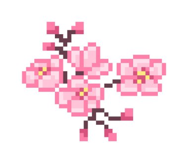 Çiçek ve tomurcuklu pembe sakura dalı, pikselli sanat ico