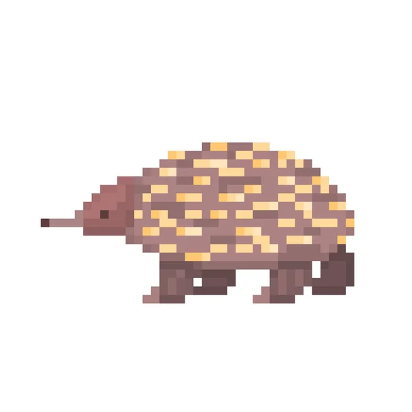 Personagem Arte Pixel Echidna Isolado Fundo Branco Símbolo Animal Australiano —  Vetores de Stock