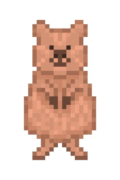 Cute Quokka Character Pixel Art Icon Isolated White Background Bit — 스톡 벡터
