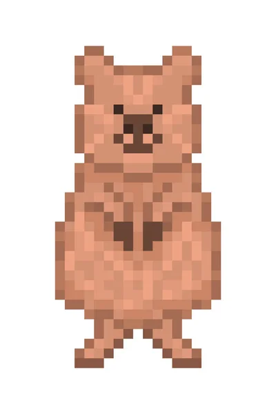 Mignon Personnage Quokka Icône Pixel Art Isolé Sur Fond Blanc — Image vectorielle