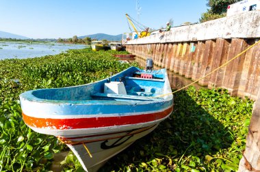 Patzcuaro, Meksika, 1 Kasım 2011: Rıhtımda bitki ve çocuklarla dolu suda renkli tekne