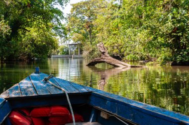 Mavi tekne nehir kıyısında nehir boyunca yol alan bir nehirde yol alıyor, kırmızı can yeleği giyiyor.