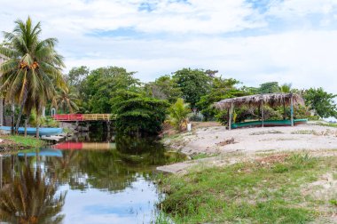 Nehir tropikal kıyılarda, palmiye ağaçları ve mavi botlarla kırmızı ve sarı bir köprünün olduğu yerde ayrılıyor..