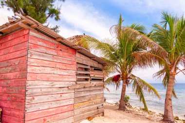 Tropikal palmiyelerle deniz hizasında pembe ahşap kulübe