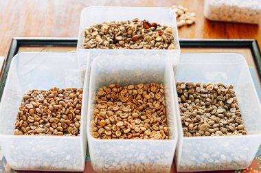 Kolombiya 'da plastik örneklerinde kaliteli kahve çekirdekleri seçildi