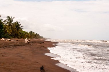 Kosta Rika 'da koyu kahverengi toprağı olan terk edilmiş tropikal plaj.