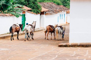Barichara, Kolombiya, 20 Mayıs 2012: Kolombiya köyünde at taşıyan adam