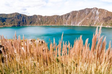 Önünde yeşil su ve turuncu dalları olan quilotoa volkanı.