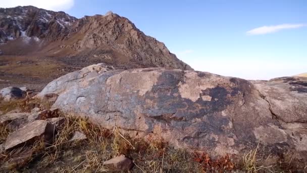 Σχέδια Προγόνων Πετρογλυφικά Ένα Βράχο Στα Βουνά — Αρχείο Βίντεο