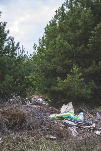Σκουπίδια Στο Δάσος Πράσινα Δέντρα Πεύκα Πεταμένα Χαρτιά Και Πλαστικές — Φωτογραφία Αρχείου