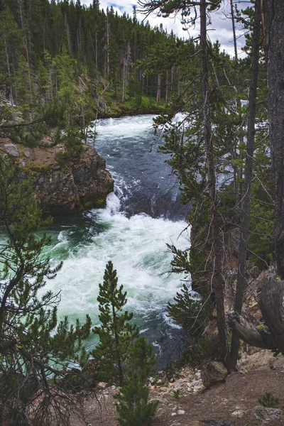 Hermoso Río Bosque Parque Nacional Yellowstone Estados Unidos Potente Agua — Foto de Stock