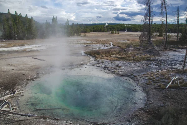 Bacia Turquesa Esmeralda Verde Com Vapor Parque Nacional Yellowstone Estados — Fotografia de Stock