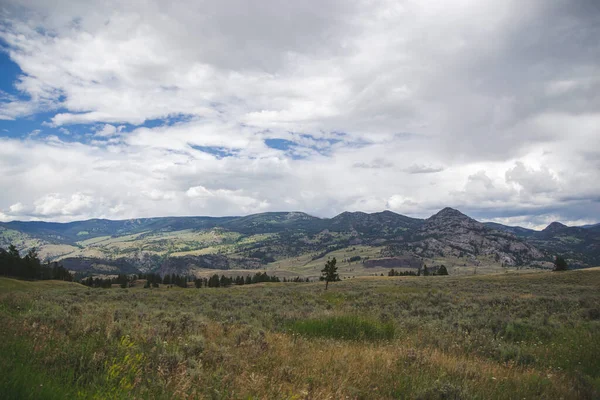 美利坚合众国国家公园的山夏景观 多云的天空 黄草和绿山 在黄石公园的旅游博客中 以树木作为旅游全景 — 图库照片