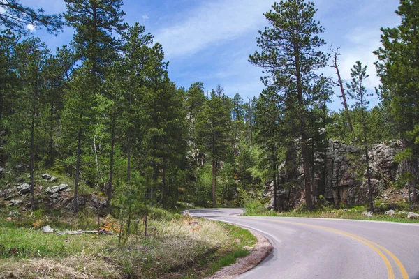 カスター州立公園内の道路サウスダコタ州 緑の木々の間のアスファルト高速道路とブラックヒルズ国立森林のターンと 自然の田園風景で世界的に有名な観光スポット — ストック写真