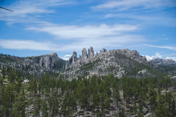 Rocky Hills Green Pine Trees Black Hills South Dakota United — Stock Photo, Image