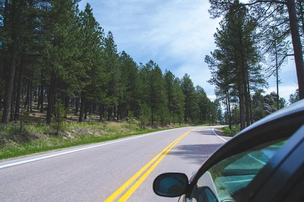 在森林中通过窗户的路 旅行的概念与文本的复制空间 卡斯特州立公园 作为美国南达科他州布莱克山的一部分 乡村道路上有山丘和绿树 — 图库照片