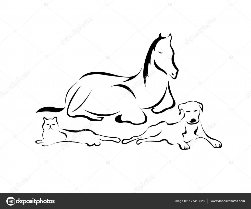 Illustration Three Domestic Animals Cat Dog Horse Stock Vector Image by ©doklevise #177418628 Illustration Three Domestic Animals Cat Dog Horse Stock Vector Image by ©doklevise #177418628